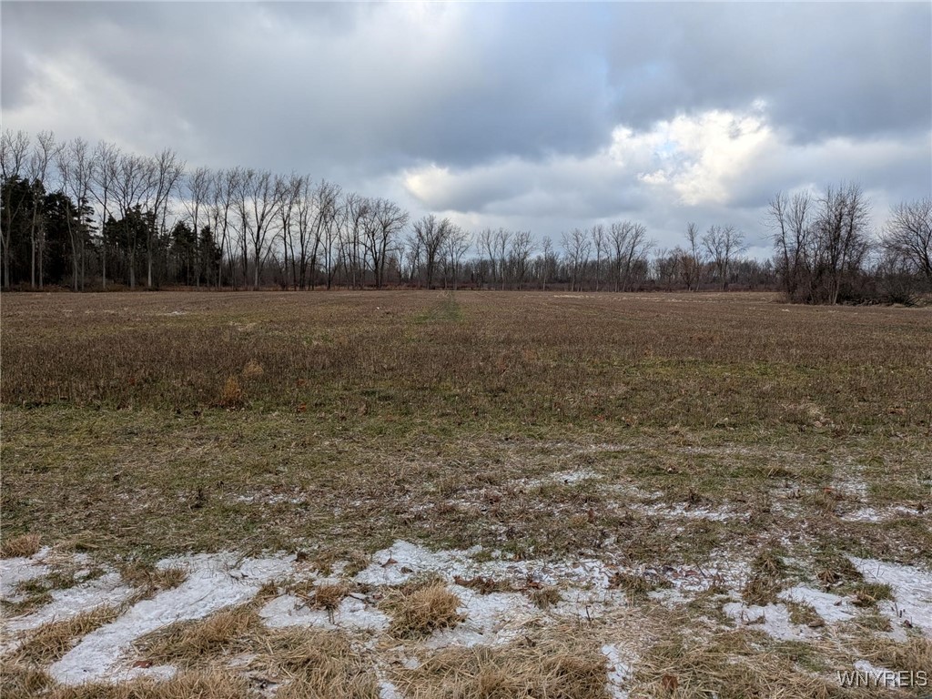 Godfrey Road North Burt, NY 14028 - Photo 1 of 1
