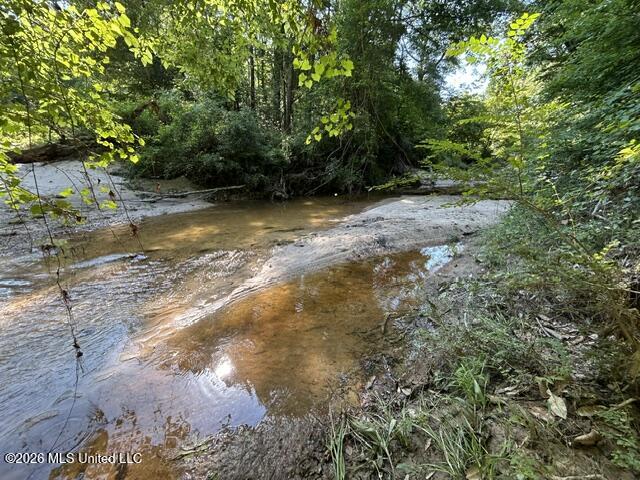 Parker Road Crosby, MS 39633 - Photo 14 of 16 IMG_4223