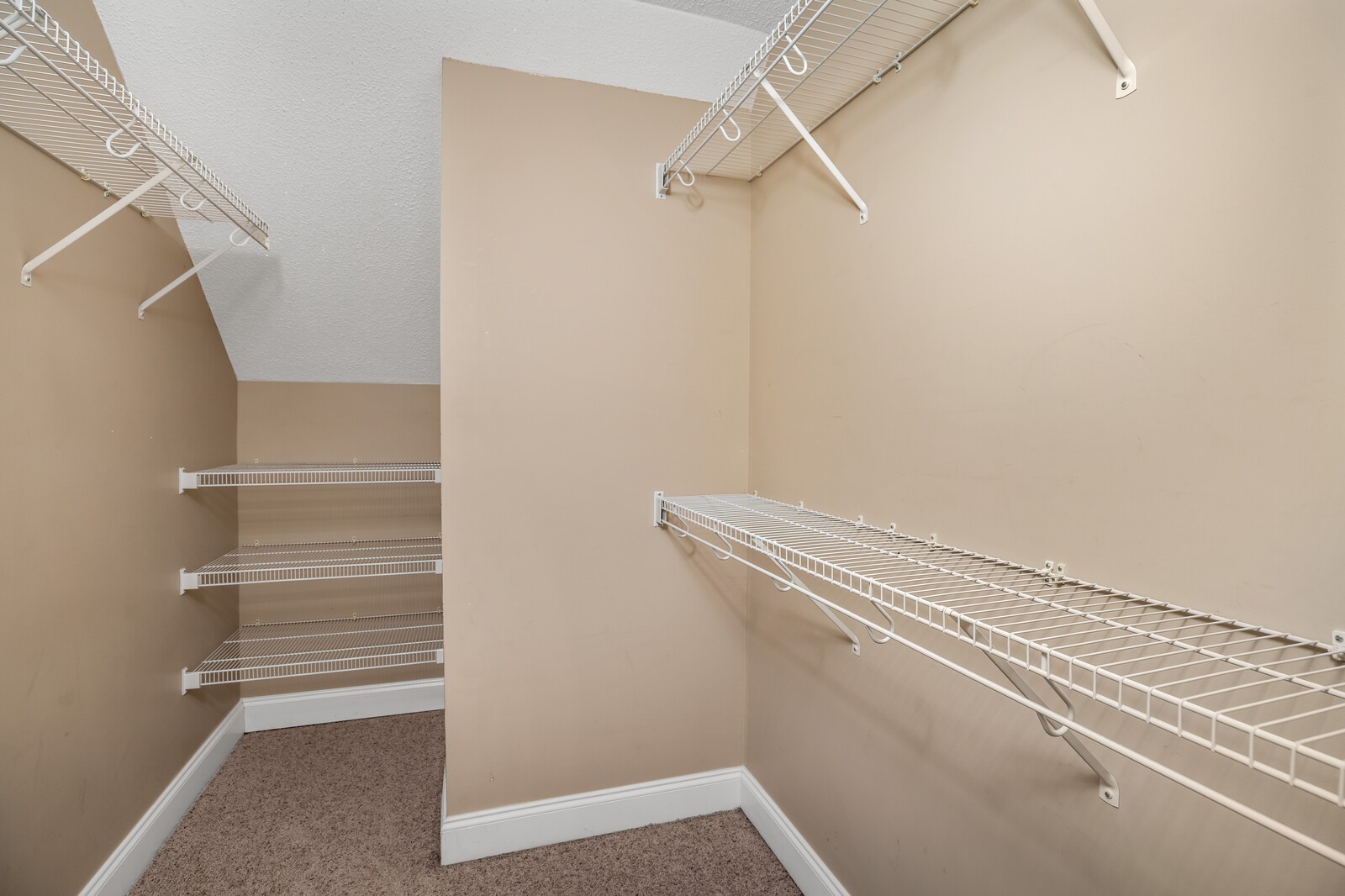 434 Alexander Road Estill Springs, TN 37330 - Photo 38 of 64 a view of walk in closet with empty racks