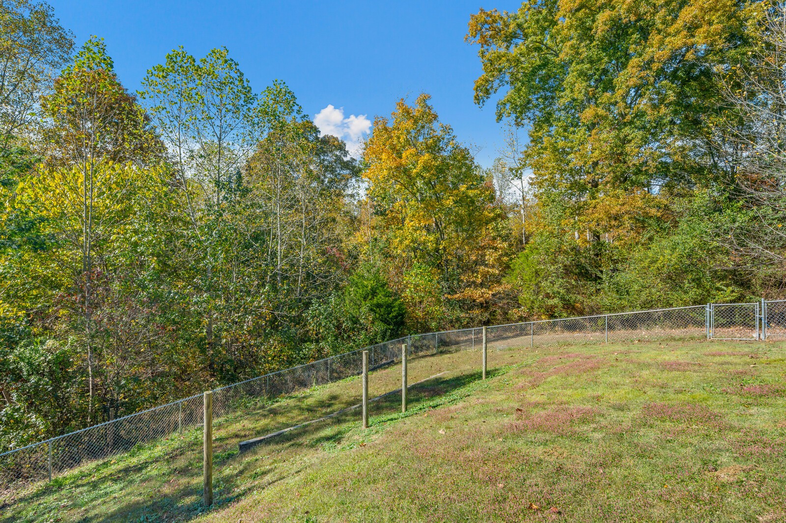 434 Alexander Road Estill Springs, TN 37330 - Photo 49 of 64 a view of a tennis court