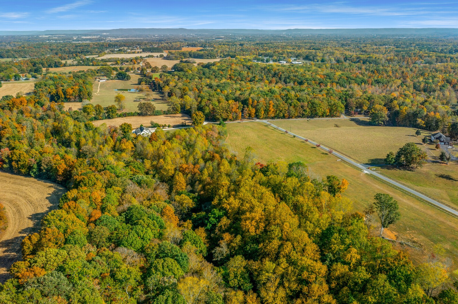 434 Alexander Road Estill Springs, TN 37330 - Photo 57 of 64