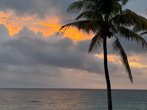 $3,100 | 6000 North Ocean Boulevard, Unit 2D, Lauderdale-by-the-Sea, FL 33308