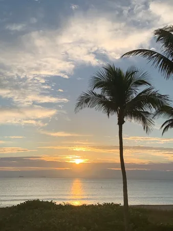 a view of beach and ocean