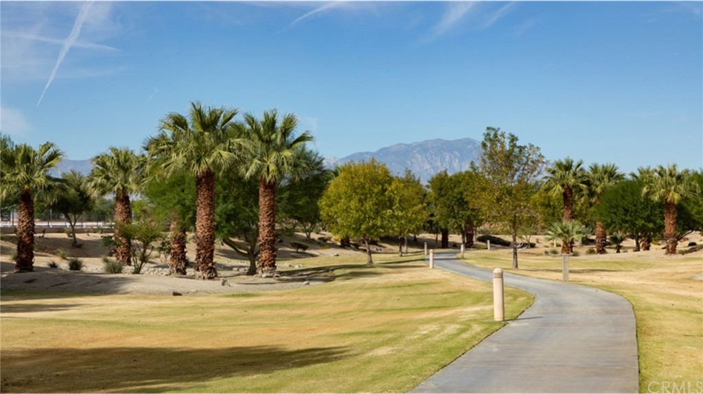 82066 Verdi Road Indio, CA 92203 - Photo 16 of 18 a view of a swimming pool with a lawn chairs under palm trees