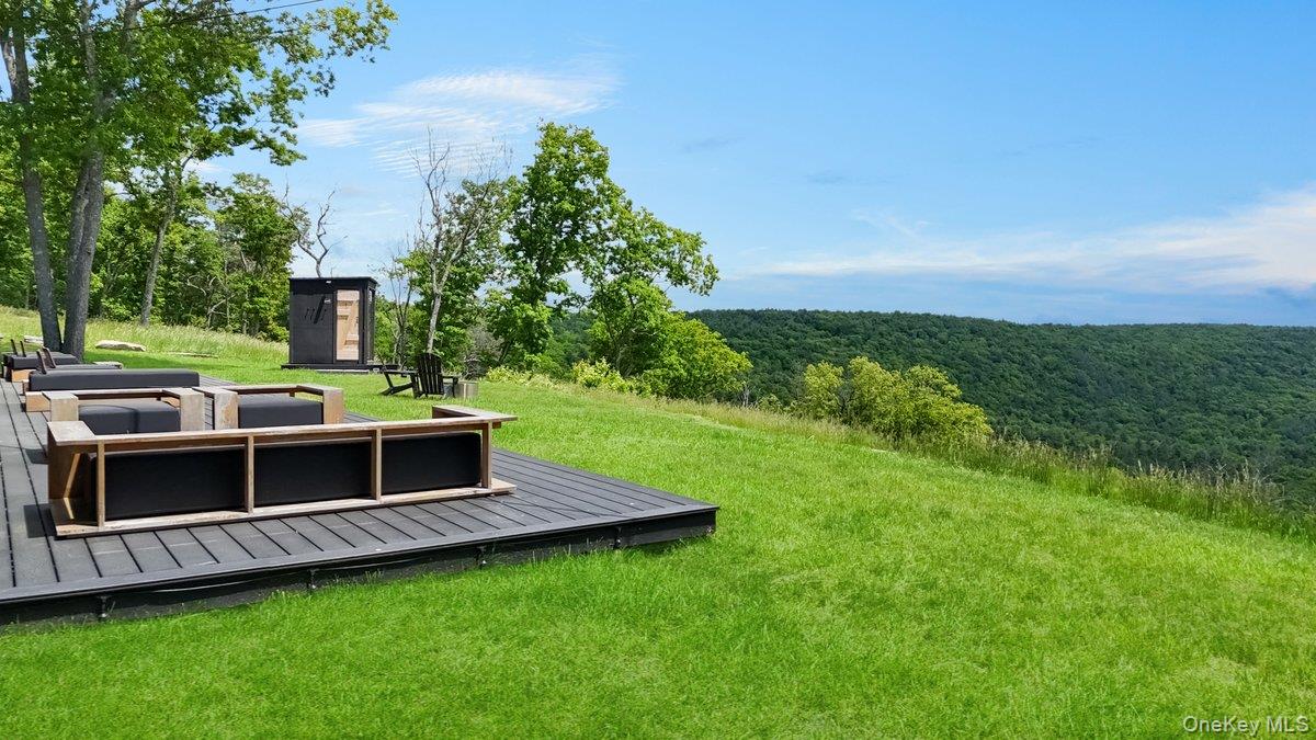 125 Mapes Road Barryville, NY 12719 - Photo 2 of 45