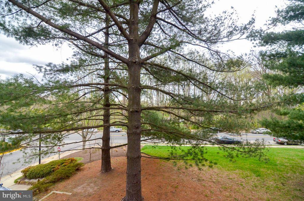 1781 Jonathan Way, Unit F Reston, VA 20190 - Photo 27 of 28 View From Private Balcony