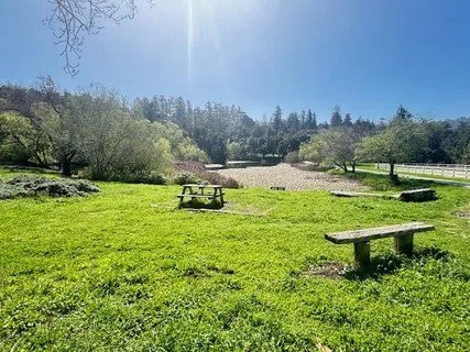 a view of a bench in a garden