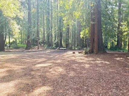 a view of outdoor space with trees