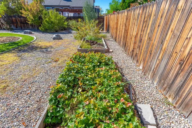 a view of a garden with a pathway