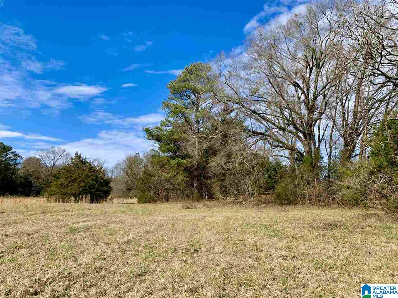 0 County Road 16 Calera, AL 35040 - Photo 21 of 22