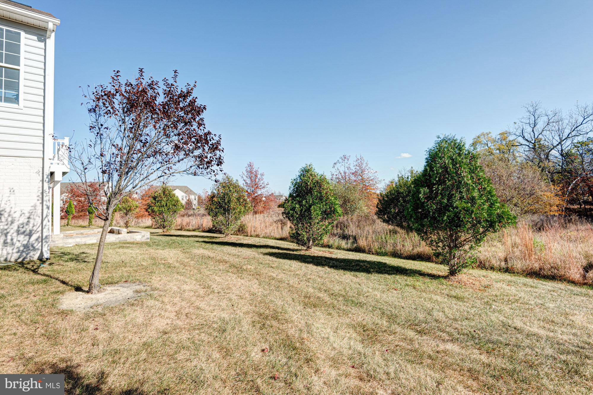 740 Cherry Tree Road Middletown, DE 19709 - Photo 2 of 64 Gallery Image 2