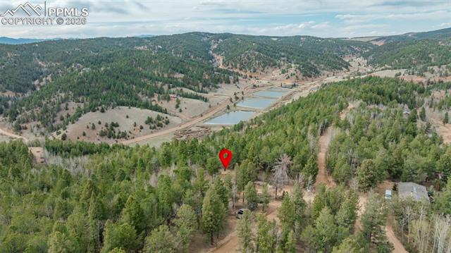 847 Timber Ridge Road Divide, CO 80814 - Photo 37 of 41 Expansive treed landscape featuring multiple ponds and distant rolling hills