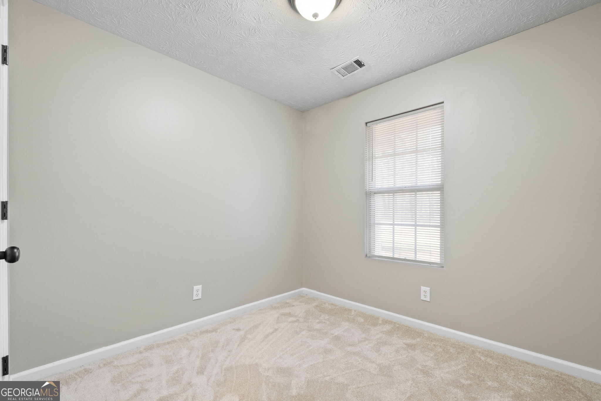 3361 Highway 3 Street North Hampton, GA 30228 - Photo 22 of 29