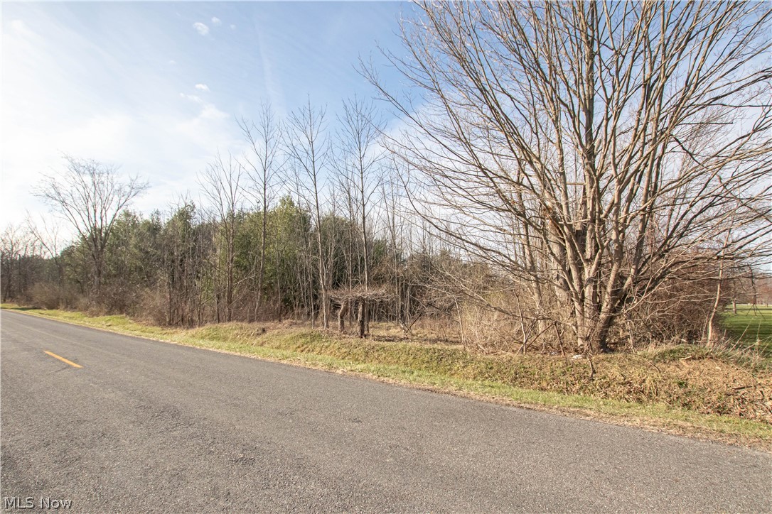 9608 Norwalk Road Litchfield, OH 44253 - Photo 46 of 48