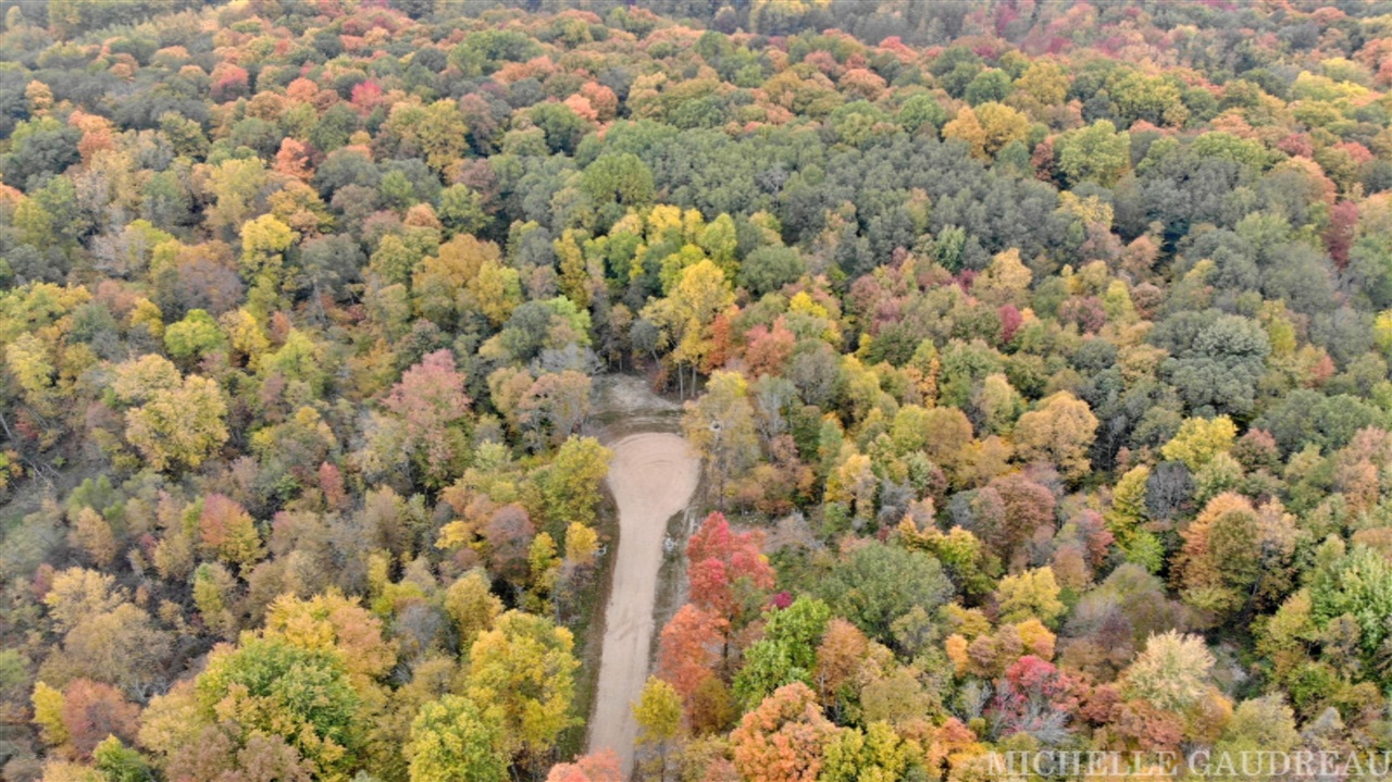 North N Ridge, Unit PARCEL 4 Middleville, MI 49333 - Photo 4 of 9