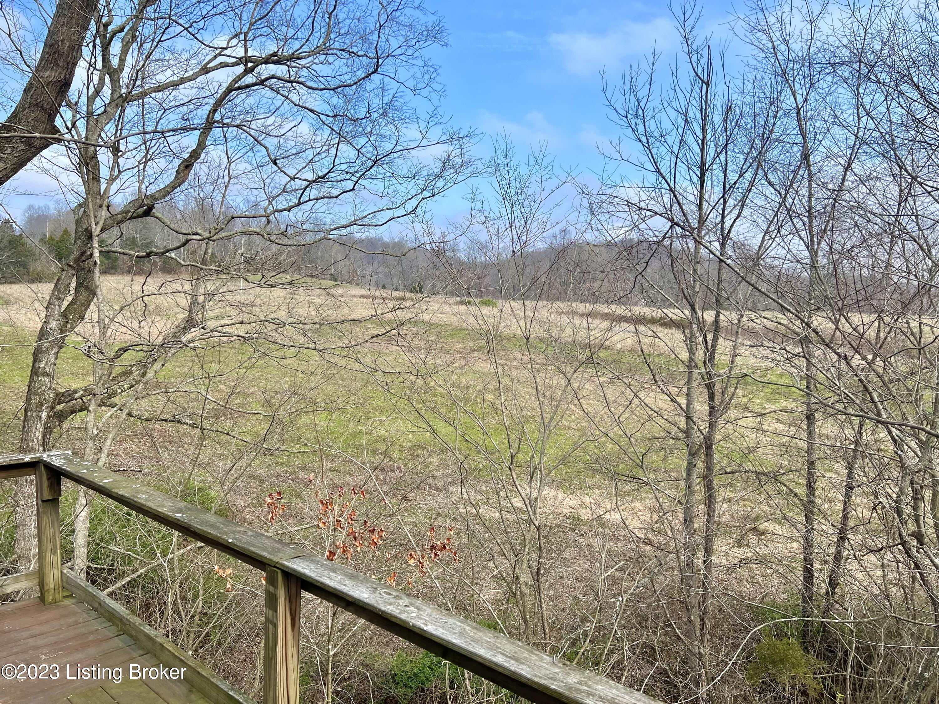 7000 Bowling Green Road Caneyville, KY 42721 - Photo 13 of 29 9