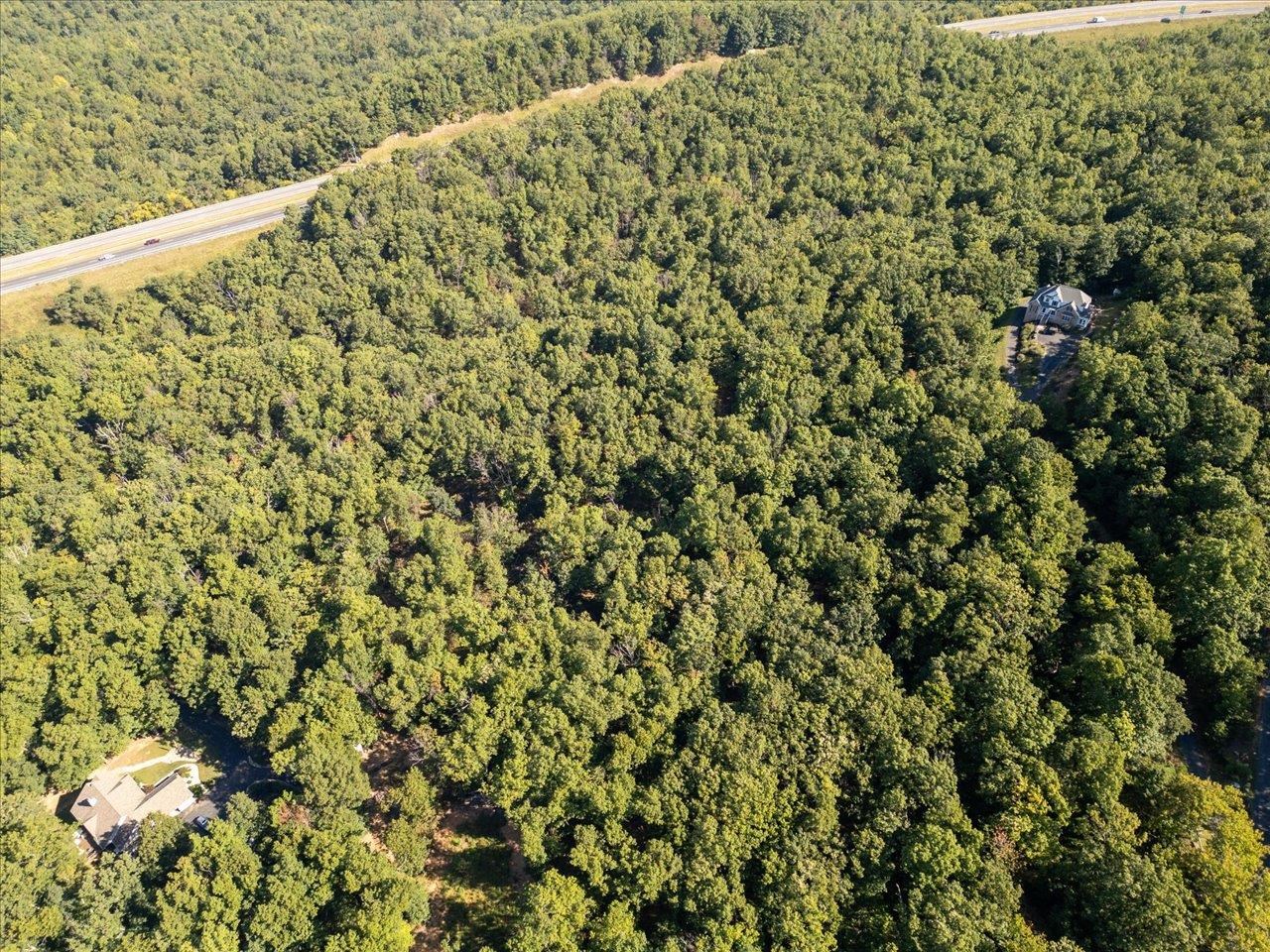Tbd Ben Lyons Lane Lyndhurst, VA 22952 - Photo 6 of 8 a view of a large tree