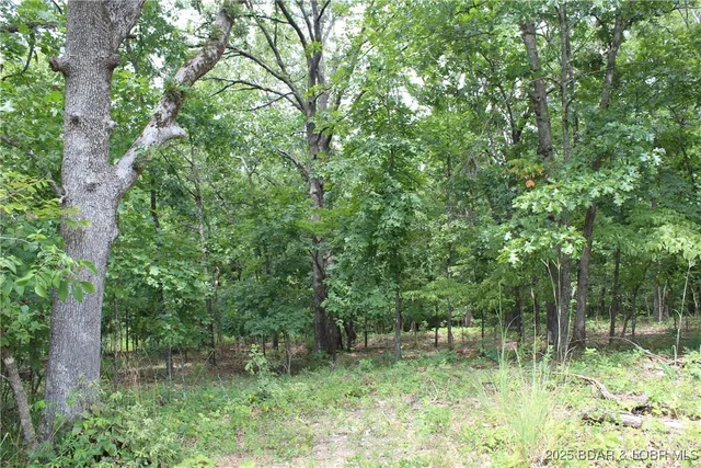 $19,900 | Lot 7 Mayerling Drive, Gravois Mills, MO 65037