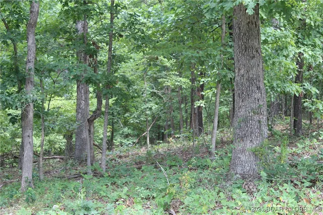 $19,900 | Lot 7 Mayerling Drive, Gravois Mills, MO 65037