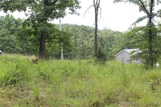 $19,900 | Lot 7 Mayerling Drive, Gravois Mills, MO 65037