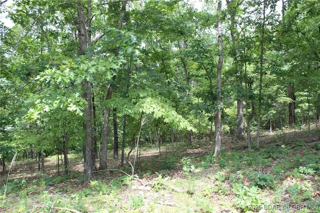 $19,900 | Lot 7 Mayerling Drive, Gravois Mills, MO 65037