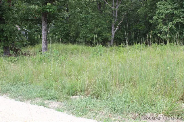 $19,900 | Lot 7 Mayerling Drive, Gravois Mills, MO 65037