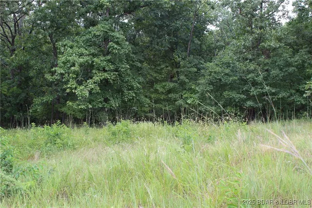$19,900 | Lot 7 Mayerling Drive, Gravois Mills, MO 65037