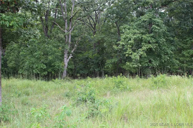 $19,900 | Lot 7 Mayerling Drive, Gravois Mills, MO 65037