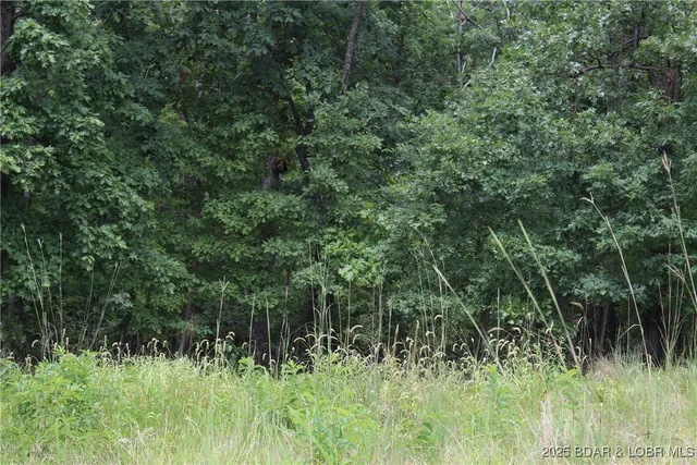 $19,900 | Lot 7 Mayerling Drive, Gravois Mills, MO 65037