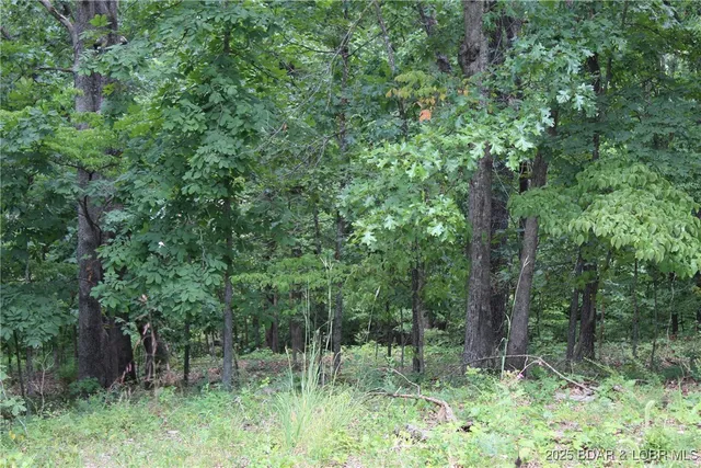 $19,900 | Lot 7 Mayerling Drive, Gravois Mills, MO 65037