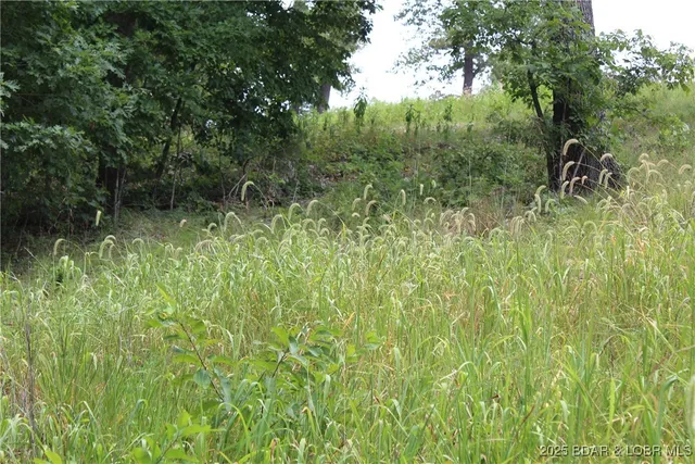 $19,900 | Lot 7 Mayerling Drive, Gravois Mills, MO 65037