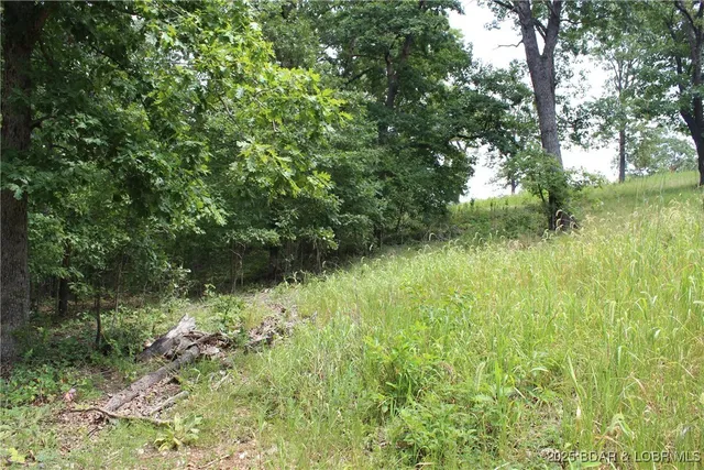 $19,900 | Lot 7 Mayerling Drive, Gravois Mills, MO 65037