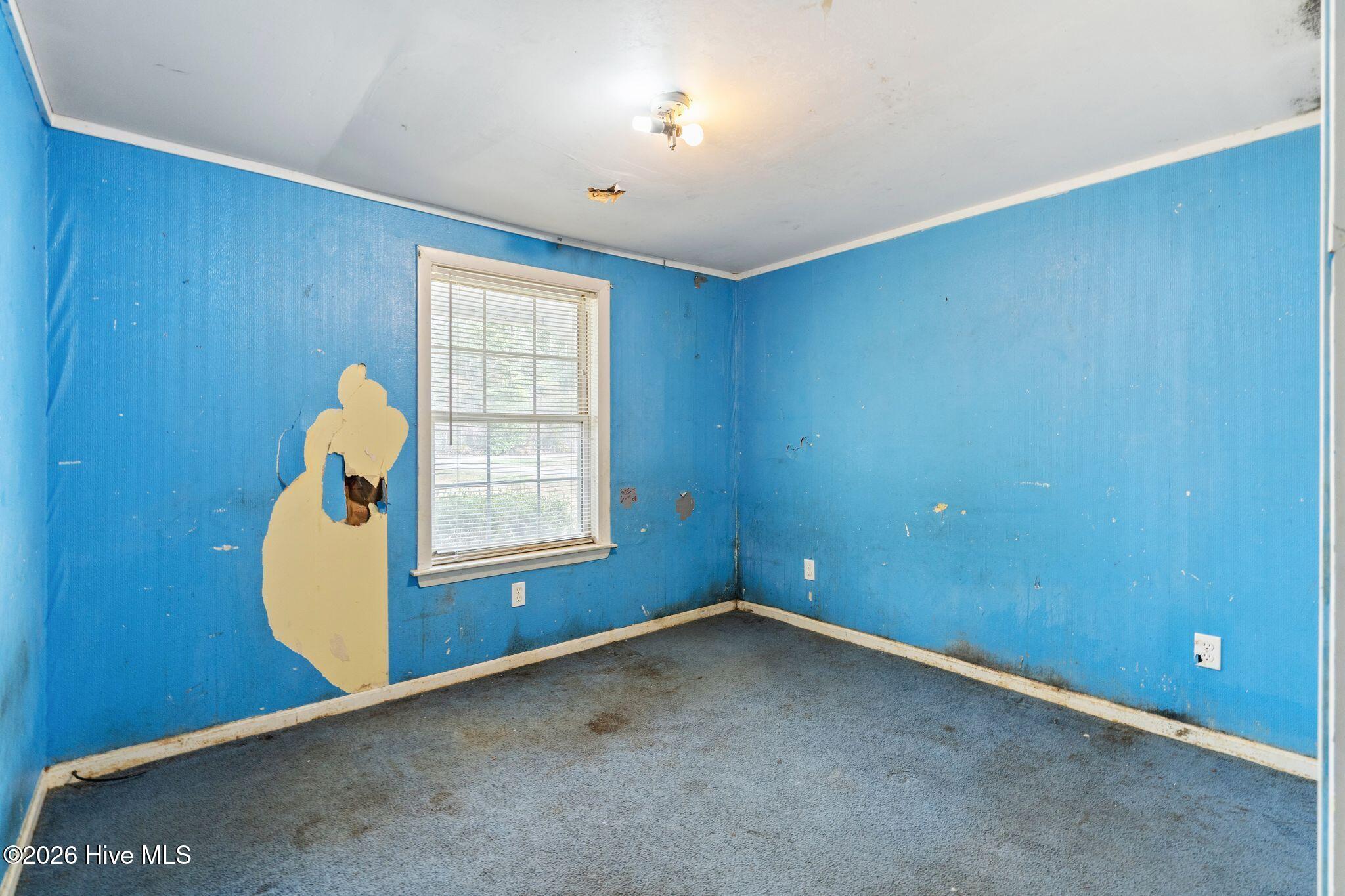 106 Hermitage Road Castle Hayne, NC 28429 - Photo 28 of 43 25_DSC03969