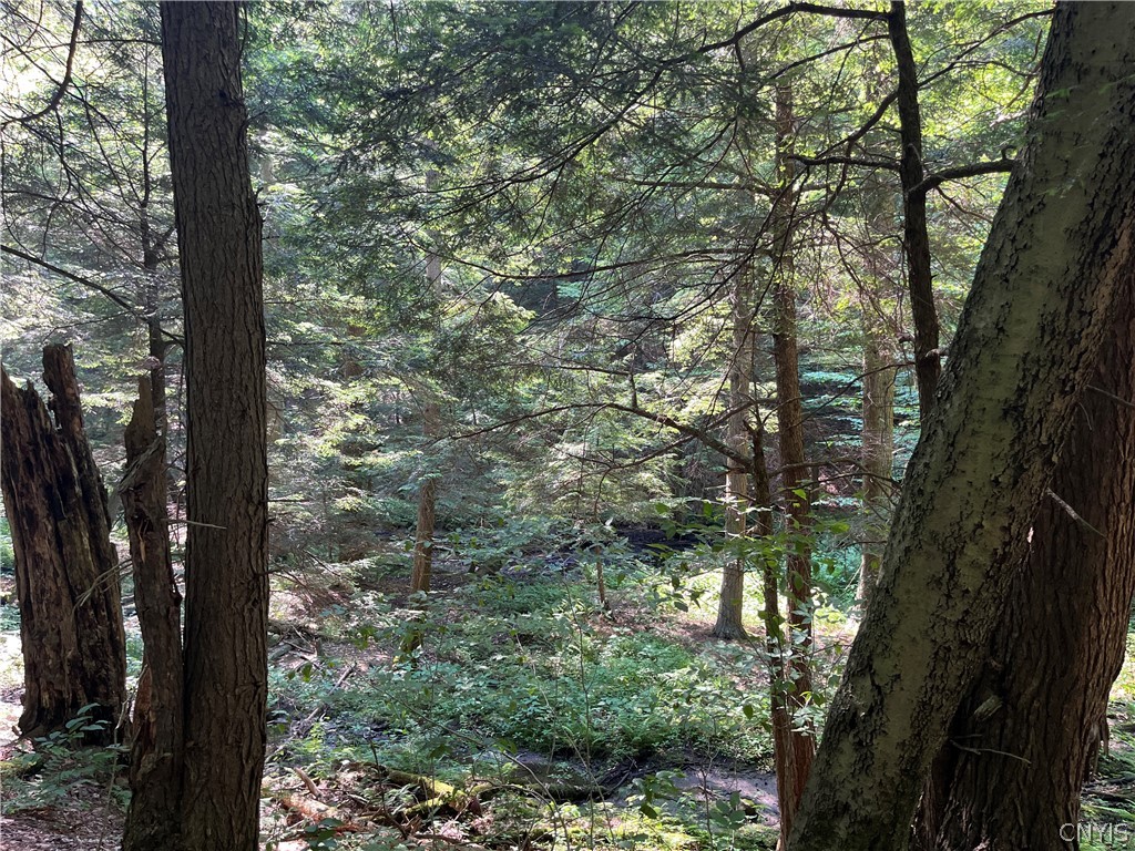 Center Road Lacona, NY 13083 - Photo 23 of 38