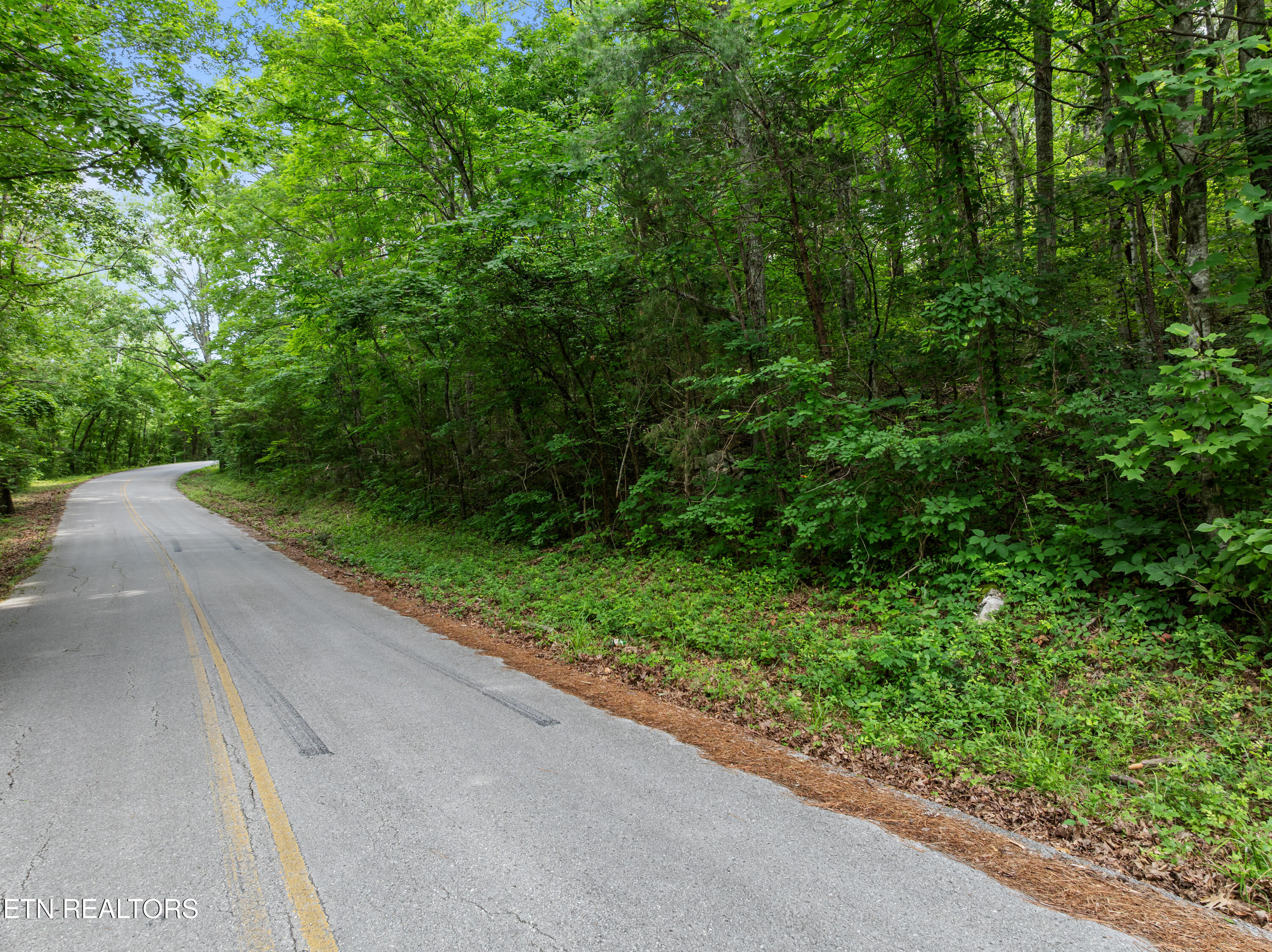 Tbd Turners Bend Road McMinnville, TN 37110 - Photo 8 of 15 McMinnville_002