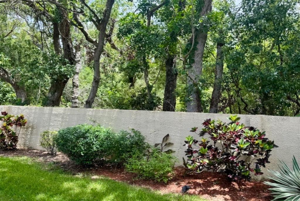 1701 Pinehurst Road, Unit 24B Dunedin, FL 34698 - Photo 32 of 84