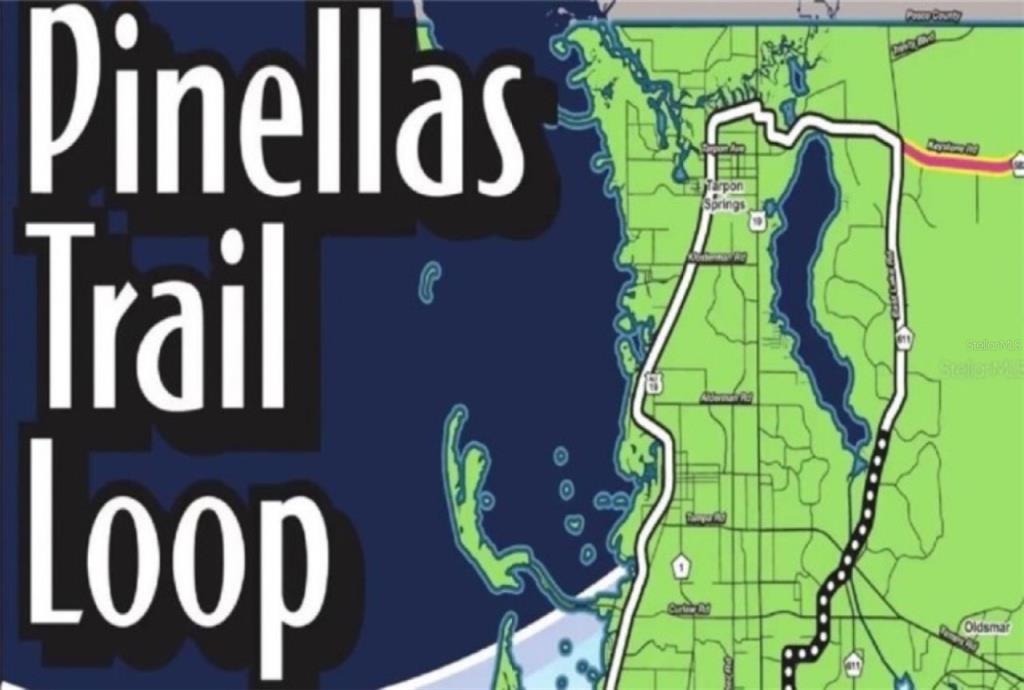 1701 Pinehurst Road, Unit 24B Dunedin, FL 34698 - Photo 53 of 84