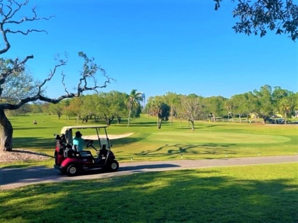 1701 Pinehurst Road, Unit 24B Dunedin, FL 34698 - Photo 55 of 84