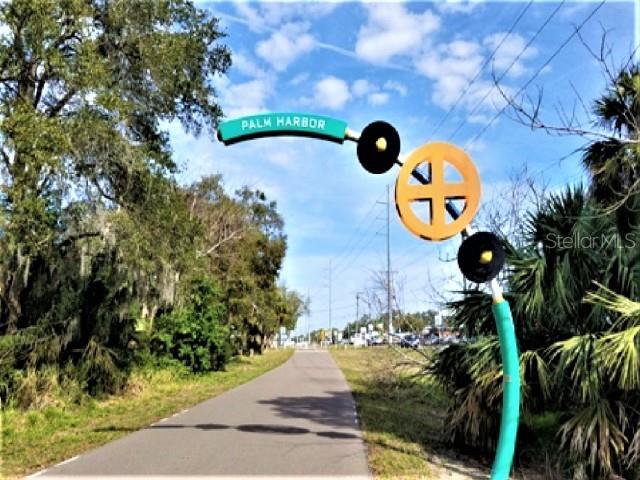 1701 Pinehurst Road, Unit 24B Dunedin, FL 34698 - Photo 59 of 84