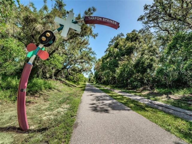 1701 Pinehurst Road, Unit 24B Dunedin, FL 34698 - Photo 63 of 84