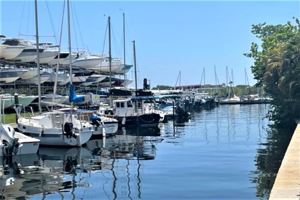 1701 Pinehurst Road, Unit 24B Dunedin, FL 34698 - Photo 66 of 84