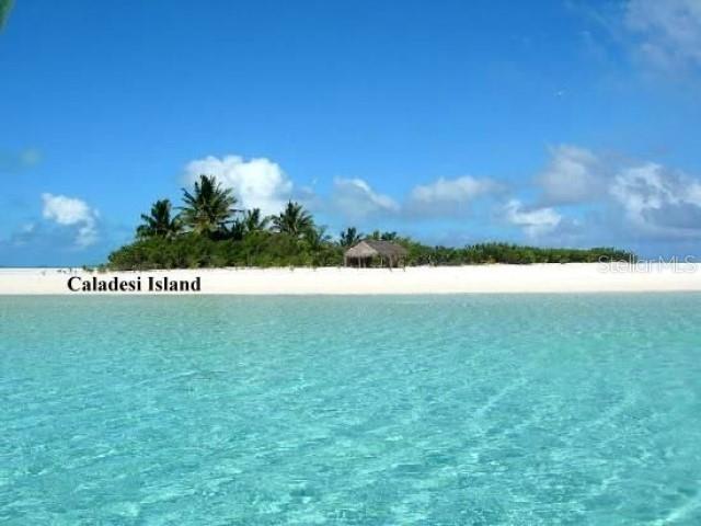 1701 Pinehurst Road, Unit 24B Dunedin, FL 34698 - Photo 70 of 84