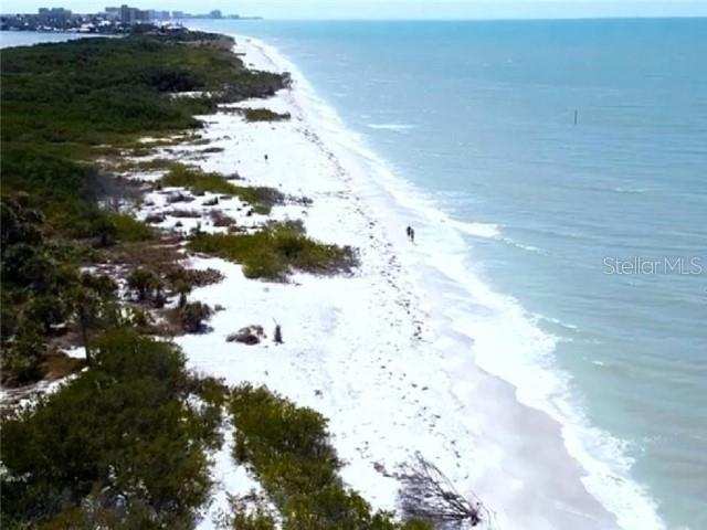 1701 Pinehurst Road, Unit 24B Dunedin, FL 34698 - Photo 74 of 84