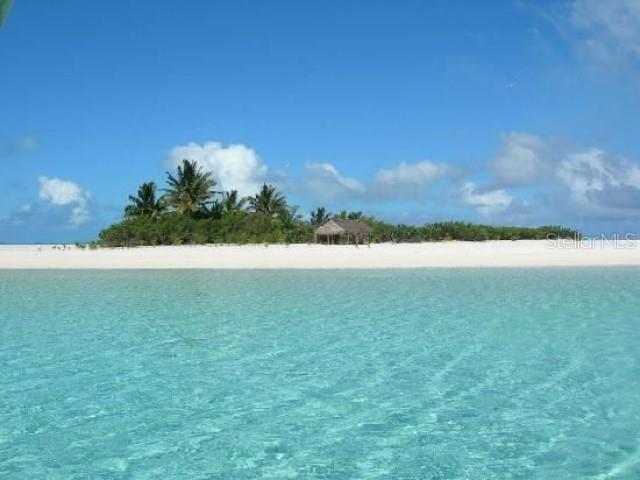 1701 Pinehurst Road, Unit 24B Dunedin, FL 34698 - Photo 79 of 84