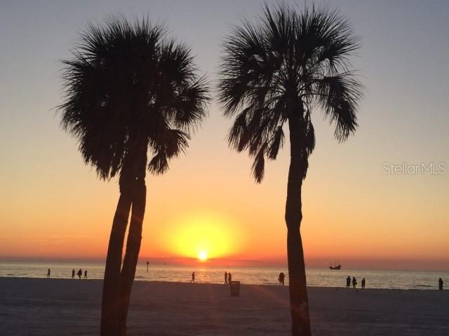 1701 Pinehurst Road, Unit 24B Dunedin, FL 34698 - Photo 82 of 84