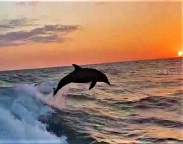 1701 Pinehurst Road, Unit 24B Dunedin, FL 34698 - Photo 83 of 84