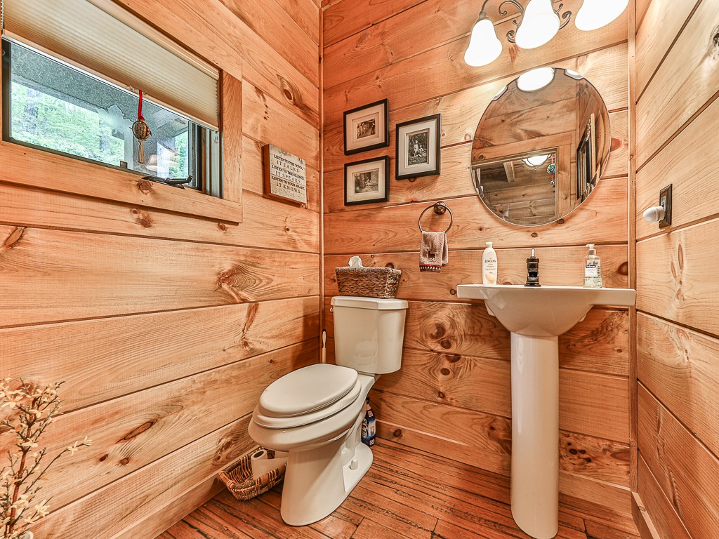 701 Lake View Drive Blue Ridge, GA 30513 - Photo 23 of 38