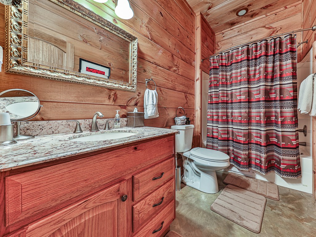701 Lake View Drive Blue Ridge, GA 30513 - Photo 25 of 38