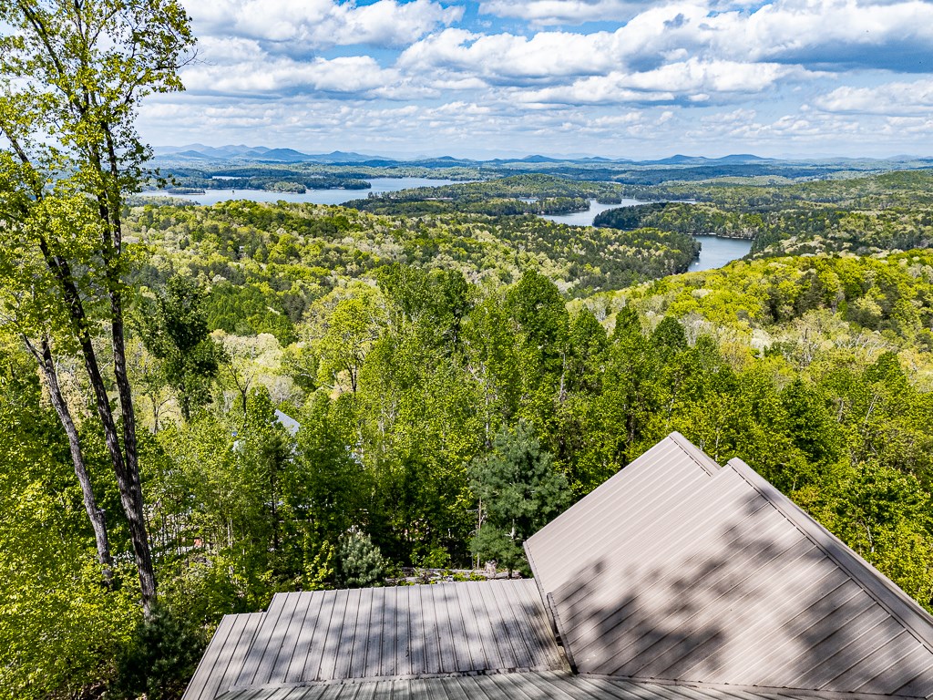 701 Lake View Drive Blue Ridge, GA 30513 - Photo 29 of 38