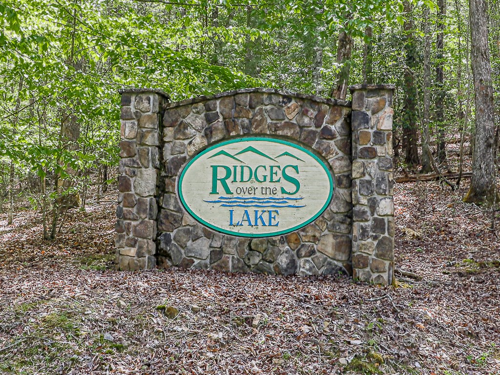 701 Lake View Drive Blue Ridge, GA 30513 - Photo 36 of 38